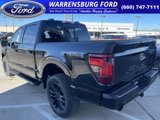 New 2025 Ford F150 XLT w/ Equipment Group 303A High image 5