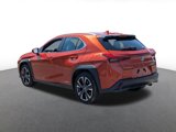 Used 2019 Lexus UX 250h image 4