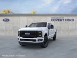 New 2025 Ford F250 Platinum image 2