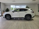 Certified 2025 Lexus NX 350 AWD w/ Premium Package image 2