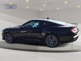 New 2025 Ford Mustang GT Premium image 2