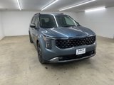 New 2026 Kia Carnival SX image 5