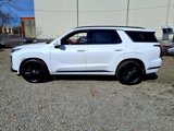 New 2025 Hyundai Palisade Calligraphy image 2