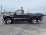 New 2025 Ford F250 4x4 Regular Cab Super Duty image 4
