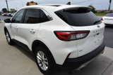 Used 2022 Ford Escape SE w/ Convenience Package image 3