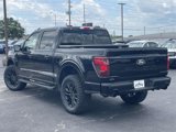 New 2025 Ford F150 XLT w/ Equipment Group 303A High image 5