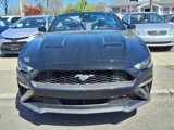 Used 2021 Ford Mustang Premium image 2