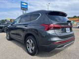 Used 2023 Hyundai Santa Fe SEL image 5