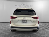 Certified 2024 INFINITI QX50 Luxe w/ Cargo Package image 6