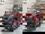 View Video