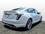 Certified 2025 Cadillac CT5 Sport w/ Sun And Sound Package image 5