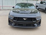Used 2024 Ford Mustang GT image 2