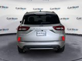 Used 2024 Ford Escape ST-Line image 4