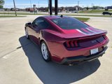 New 2025 Ford Mustang GT image 5