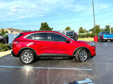 Used 2020 Ford Escape Titanium image 2