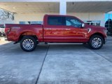New 2025 Ford F150 XLT w/ Equipment Group 302A MID image 2