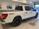 New 2025 Ford F150 STX w/ STX Black Appearance Package image 5