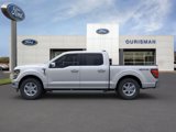 New 2024 Ford F150 XLT w/ Equipment Group 302A MID image 4