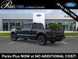 New 2025 Ford F250 Platinum image 4