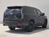 Used 2022 Cadillac Escalade Sport Platinum w/ LPO, ONYX Package image 5