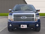 Used 2009 Ford F150 Platinum image 6