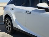 Certified 2025 Lexus RX 350 Premium image 5