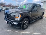 Used 2023 Ford F150 XLT w/ Equipment Group 302A High image 3