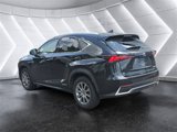 Used 2020 Lexus NX 300h AWD w/ Comfort Package image 3