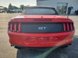 Certified 2019 Ford Mustang GT Premium w/ Equipment Group 401A image 2