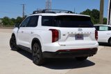 New 2025 Hyundai Palisade XRT image 2