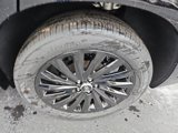 New 2025 Hyundai Palisade Calligraphy image 5