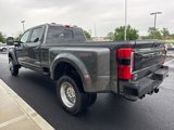 New 2025 Ford F450 Platinum image 5