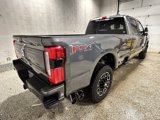 New 2025 Ford F350 Platinum image 5