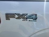 New 2025 Ford F150 XLT image 5