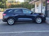 Used 2021 Ford Escape SE image 5