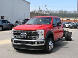 New 2025 Ford F550 2WD Crew Cab Super Duty w/ XLT Value Package image 2