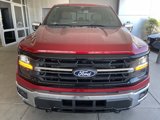 New 2025 Ford F150 XLT w/ Equipment Group 302A MID image 2
