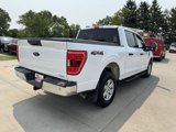 Used 2021 Ford F150 XLT w/ Equipment Group 301A Mid image 4