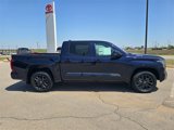 New 2025 Toyota Tundra Platinum image 2