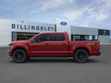 New 2025 Ford F150 XLT w/ Equipment Group 302A MID image 3
