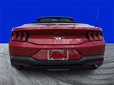 Certified 2024 Ford Mustang Convertible image 4