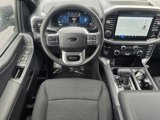 New 2025 Ford F150 XLT w/ Equipment Group 302A MID image 5