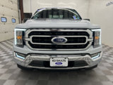 Used 2022 Ford F150 XLT w/ Equipment Group 302A High image 2
