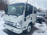 New 2025 Chevrolet Low Cab Forward image 2