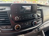 Used 2020 Ford Transit 250 Low Roof w/ Exterior Upgrade Package image 3