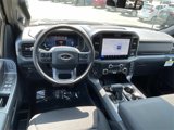 New 2025 Ford F150 XLT image 6