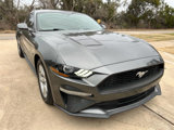 Used 2019 Ford Mustang Coupe image 2
