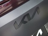 New 2025 Kia Carnival SX Prestige image 5