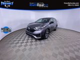 View Video