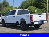 New 2025 Ford F250 XL image 5